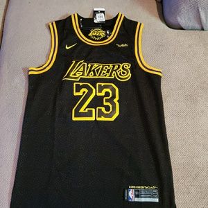 New Los Angeles Lakers Lebron James Jersey Large